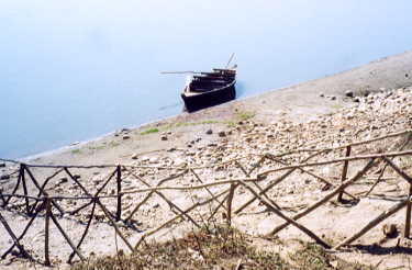 �^�C�K�[�g�b�v�X