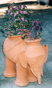 �^�C�K�[�g�b�v�X