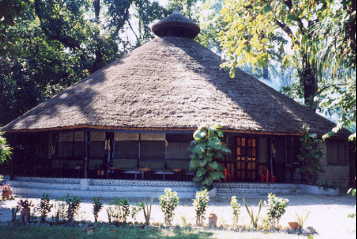 �^�C�K�[�g�b�v�X