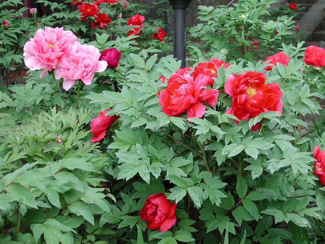 DSCN2647.jpg