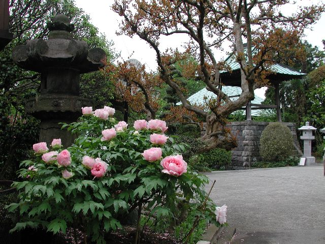 DSCN2663.jpg