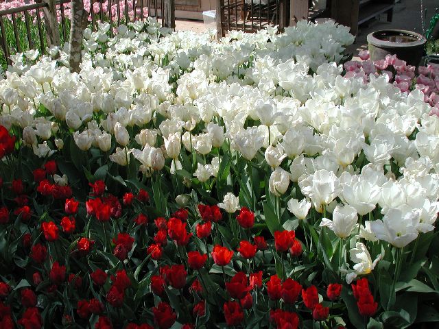 DSCN2583.jpg