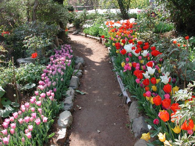DSCN2589.jpg