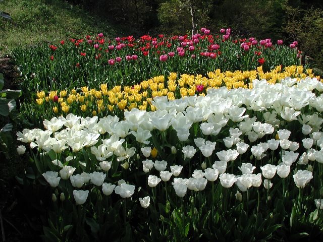 DSCN2600.jpg