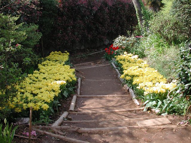 DSCN2604.jpg