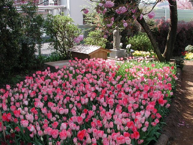 DSCN2610.jpg