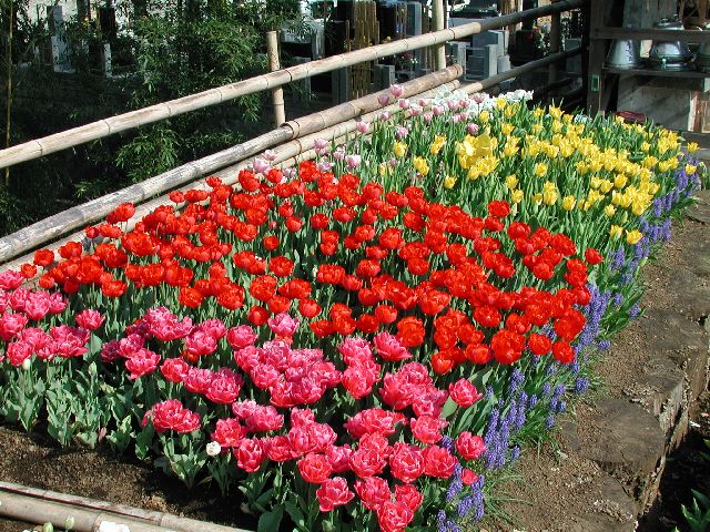 DSCN2617.jpg