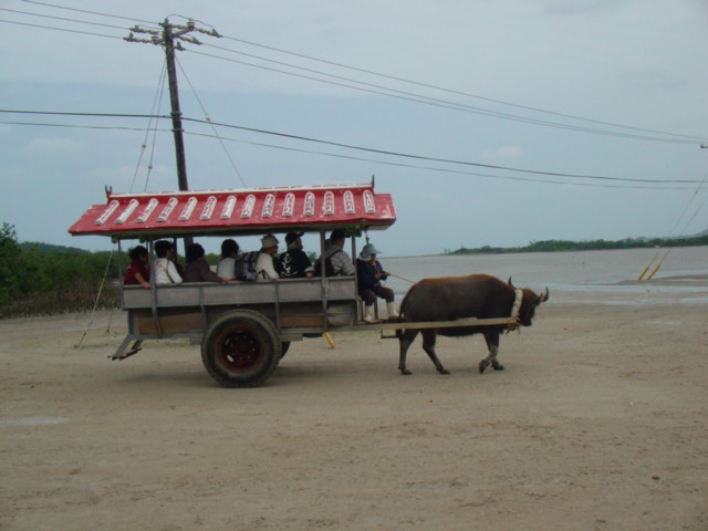 DSC00718.jpg