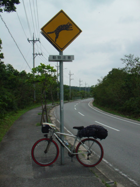 DSC00721.jpg