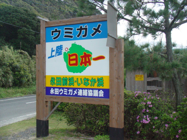 DSC00752.jpg