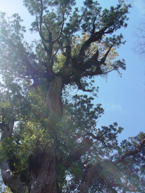 DSC00772.jpg