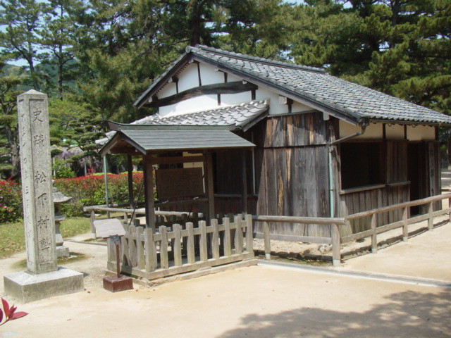 DSC00802.jpg