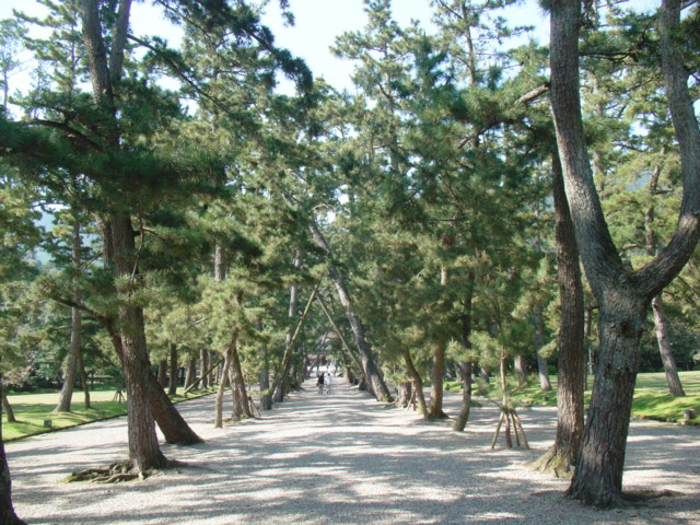 DSC00814.jpg