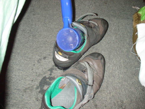 kutu.jpg