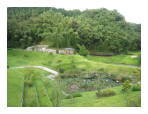 九州国立博物館の庭園