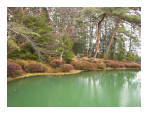 日光東照宮の池