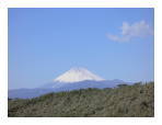 千本松原と富士山