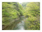 那須塩原の渓谷