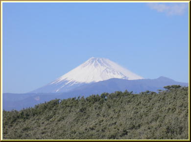 風に鳴る碑から見た千本松原の上に顔をのぞかせる富士