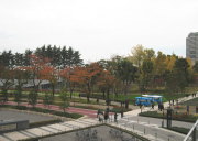 芝生広場