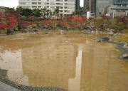 池