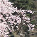 Vh䉑