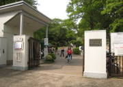 ʓ