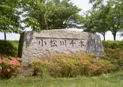 石版