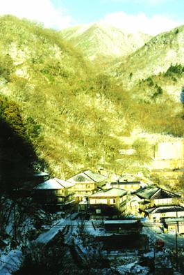 �k�̓��S�i