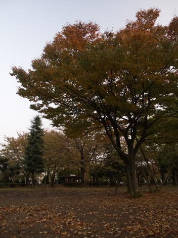 h161107001.jpg
