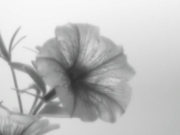 h180916008.jpg