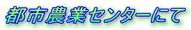 �s�s�_�ƃZ���^�[�ɂ�