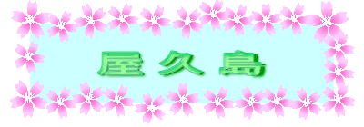 ���v��