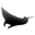 }^