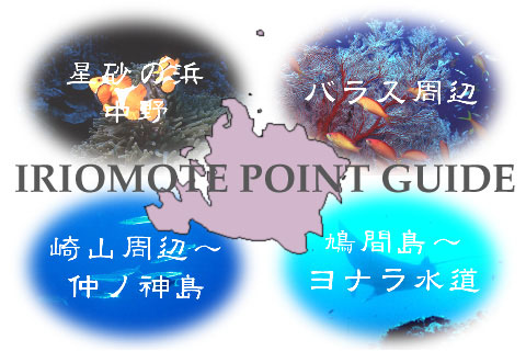point map