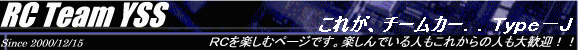  ꂪA`[J[DDs|i 