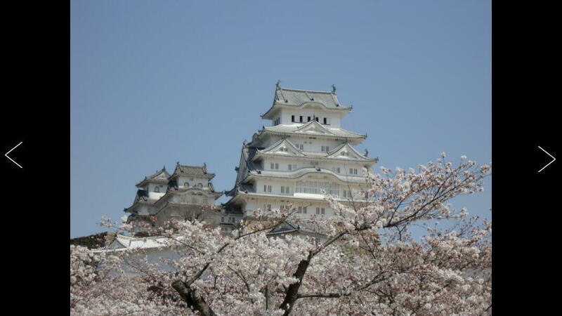 桜の白鷺城
