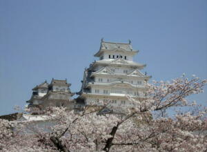 桜満開の姫路城・・・