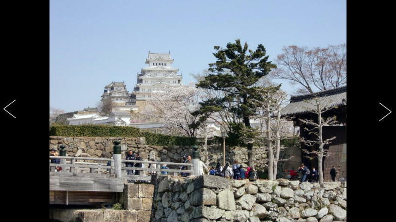 ���̔����