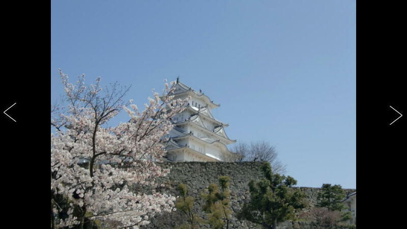 ���̔����