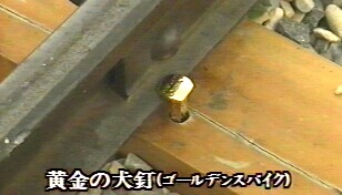 Golden Spike