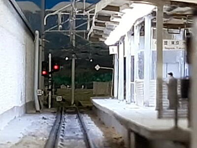 �P�Ԑ��o���M���E�E�E�E