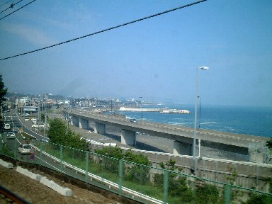 由比の海岸