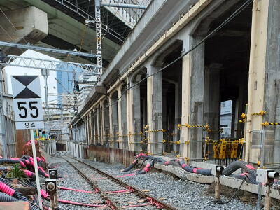 ���߂����n���w��