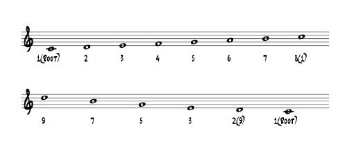 Scale + Chord.png