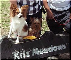 Kitz Meadows