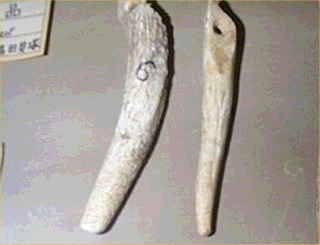 岡山県船穂町の里木貝塚