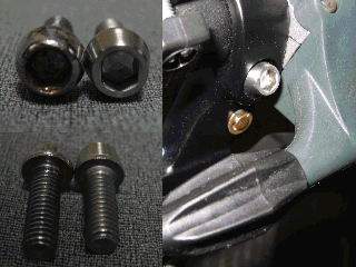 Stainless Bolt