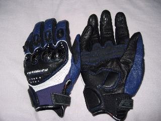 RS Taichi Lether Mesh Glove