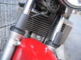 VT250SPADA Fork Protector